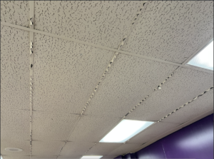 ceiling tiles